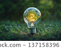 Green energy eco concept with light bulb and green plant inside it 137158396