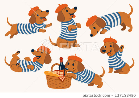 Vector set of cute dachshunds in French red berets and striped vests in various poses 137158480