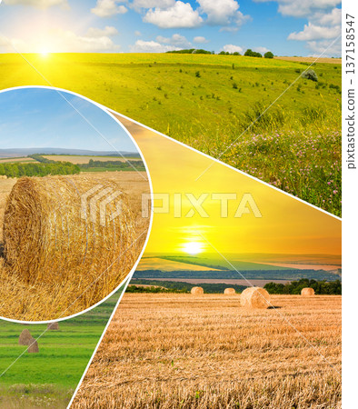 Rural Landscape Collection of Golden Fields and Rolling Green Hills Rural Landscape Collection of Golden Fields and Rolling Green Hills 137158547