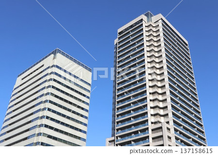 中野市容 137158615