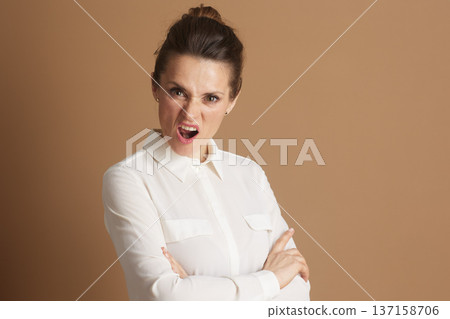 Frustrated Professional Woman Frustrated Professional Woman 137158706