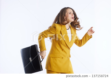 Businesswoman On The Go with Briefcase Businesswoman On The Go with Briefcase 137158724