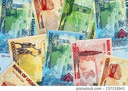 Ugandan shilling paper banknotes pile on table. Uganda UGX currency money bills in big amount. Concept of economics, taxation and banking in Uganda Ugandan shilling paper banknotes pile on table. Uganda UGX currency money bills in big amount. Concept of economics, taxation and banking in Uganda 137158941