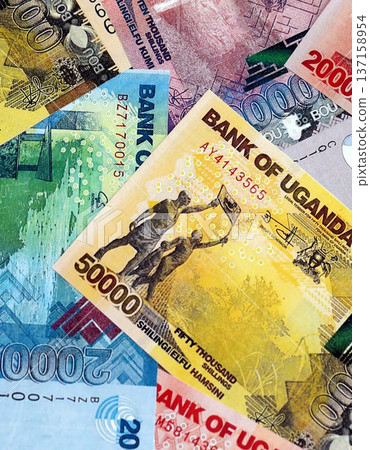 Ugandan shilling paper banknotes pile on table. Uganda UGX currency money bills in big amount. Concept of economics, taxation and banking in Uganda Ugandan shilling paper banknotes pile on table. Uganda UGX currency money bills in big amount. Concept of economics, taxation and banking in Uganda 137158954