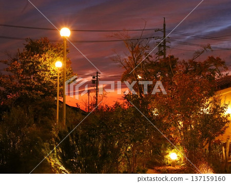 Evening sun in autumn 137159160
