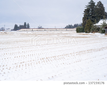 [Yamagata Line] The Shinkansen Tsubasa runs through a snowy town 137159176