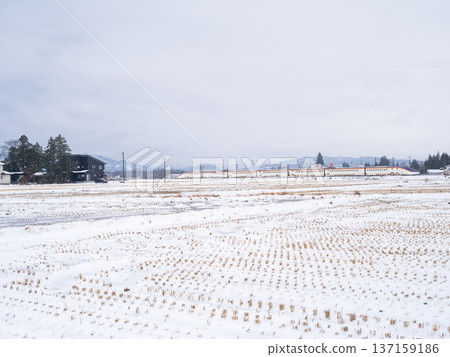 [Yamagata Line] The Shinkansen Tsubasa runs through a snowy town 137159186