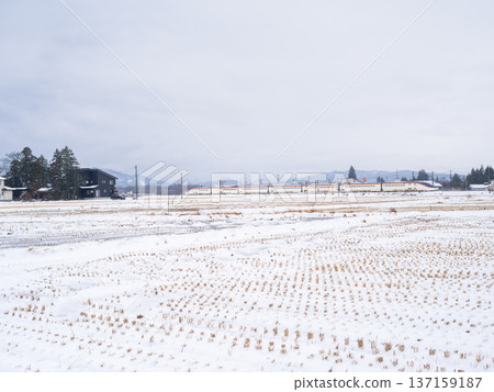 [Yamagata Line] The Shinkansen Tsubasa runs through a snowy town 137159187