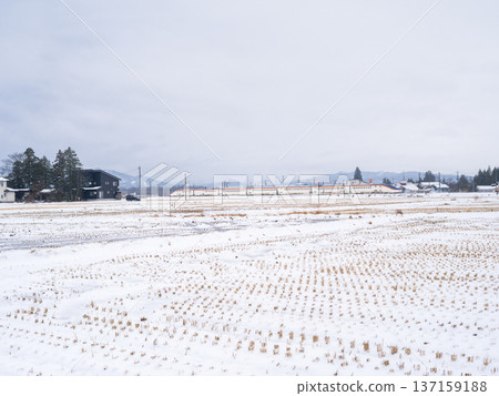 [Yamagata Line] The Shinkansen Tsubasa runs through a snowy town 137159188
