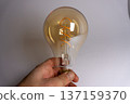 Light bulb with visible filament held by hand in a simple setting during daylight 137159370
