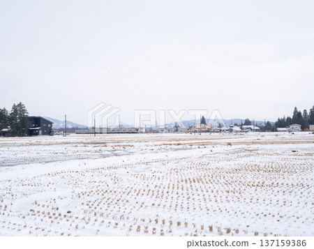 【山形線】一列地方列車穿過白雪皚皚的小鎮 【山形線】一列地方列車穿過白雪皚皚的小鎮 137159386