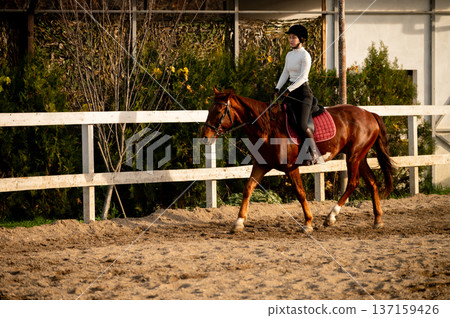 Female equestrian in black riding attire guides chestnut horse around sandy arena with wooden fence and greenery in the background during a sunny day 137159426