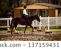 Equestrian female rider in black riding gear guides brown horse over a jump in an outdoor arena with wooden fence and stable in the background 137159431