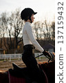 Equestrian female rider in black riding gear and helmet sits on brown horse, with trees and a fence visible in the background during sunset 137159432