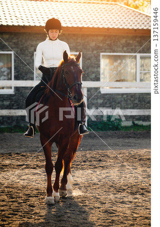 Young female equestrian in black riding gear sits on a brown horse in an outdoor arena with a rustic building and sunlight filtering through trees in the background 137159446
