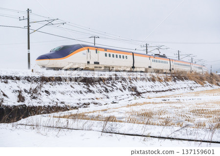 [Yamagata Line] Shinkansen Tsubasa train running through snowy scenery 137159601