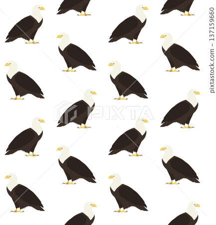 Vector flat hand drawn eagle silhouette 137159660