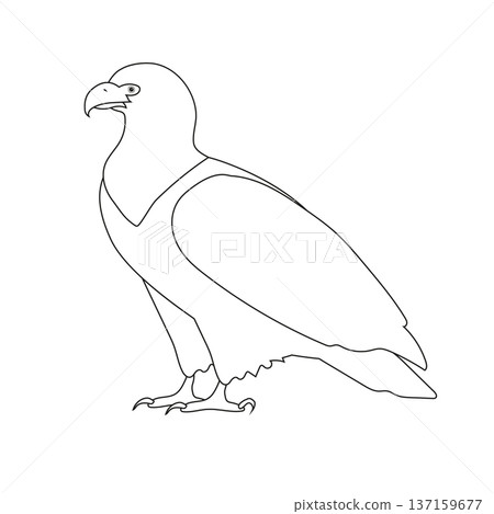 Vector flat hand drawn eagle 137159677