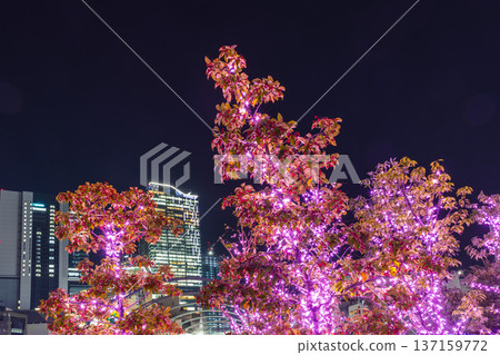 東京澀谷宮下公園夜景 東京澀谷宮下公園夜景 137159772