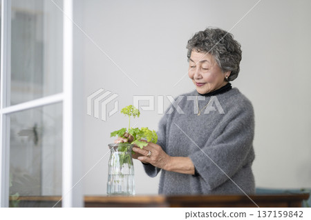 Senior woman decorating her room with flowers Senior woman decorating her room with flowers 137159842