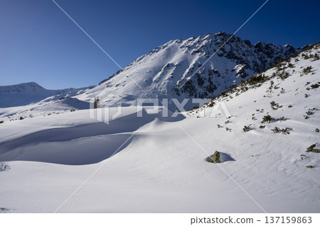 High Tatras in winter. Valley of Five Polish Pond with Kozi Wierch peak. 137159863