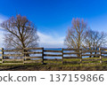 Landscape of Masuria in Poland, view of Lake Sniardwy, Nowe Guty village. 137159866