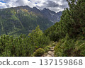 The Stony Road Through the Greenery. High Tatras. 137159868