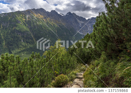 The Stony Road Through the Greenery. High Tatras. 137159868