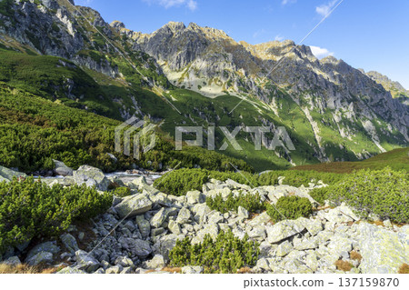 Illuminated Peaks Above the Roztoka Valley. High Tatras. 137159870