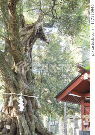 Anbasama Osugi Shrine Anbasama Osugi Shrine 137159946