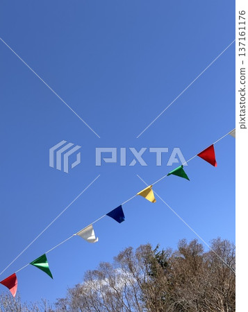 藍藍的天空和國旗 137161176