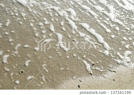 沙灘、波浪和氣泡 137161199