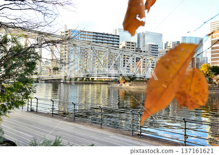 秋葉掩映下的芙蕾雅橋。 137161621