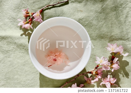 Cherry Blossoms and Sakura Baths 3 Cherry Blossoms and Sakura Baths 3 137161722