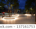 Shining Night Sidewalk 137161753
