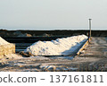 Traditional Salt Fields In Ninh Thuan Province, Vietnam. 137161811