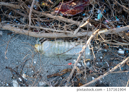 Plastic bottle washed up on the shore in Ogasawara 137161904