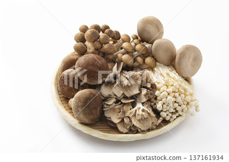濾鍋裡的各種蘑菇 137161934