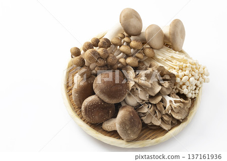 濾鍋裡的各種蘑菇 137161936