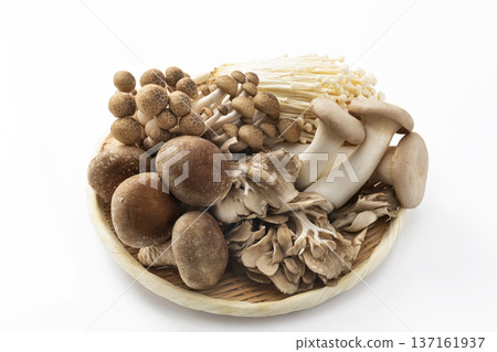 Assorted mushrooms in a colander 137161937