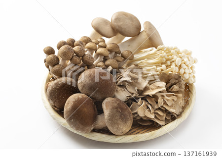 濾鍋裡的各種蘑菇 濾鍋裡的各種蘑菇 137161939