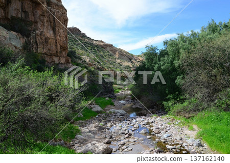 Arizona Desert Creek Arizona Desert Creek 137162140