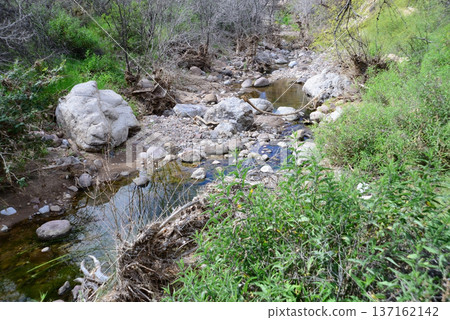 Arizona Desert Creek 137162142