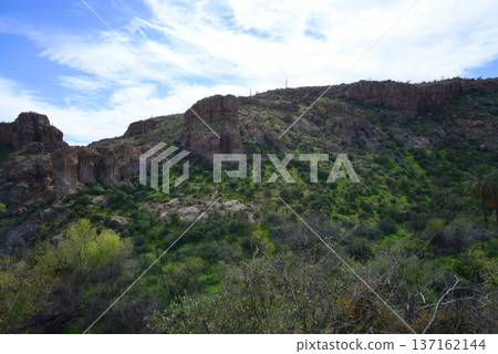 West Border of Tonto National Forest Sonoran Desert Arizona 137162144