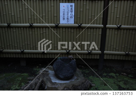 Koenji Hikawa Shrine Koenji Hikawa Shrine 137163753