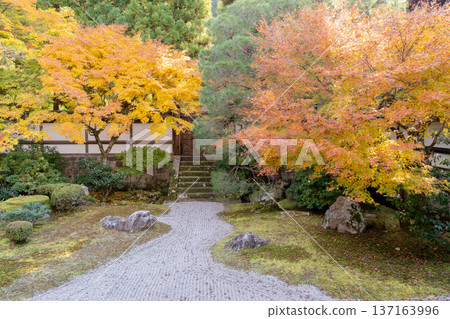 Kyoto Higashiyama Sennyuji Temple (the family temple of the Imperial Family) Imperial Palace Garden Autumn Leaves Dry Landscape Maple Kyoto Higashiyama Sennyuji Temple (the family temple of the Imperial Family) Imperial Palace Garden Autumn Leaves Dry Landscape Maple 137163996