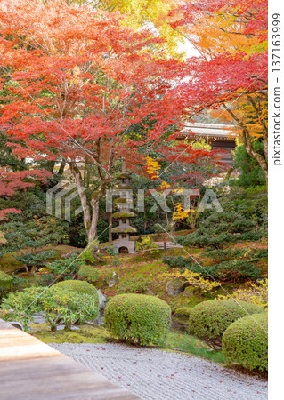 Kyoto Higashiyama Sennyuji Temple (the family temple of the Imperial Family) Imperial Throne Garden Autumn Leaves Maple Trees on the Artificial Hill Kyoto Higashiyama Sennyuji Temple (the family temple of the Imperial Family) Imperial Throne Garden Autumn Leaves Maple Trees on the Artificial Hill 137163999