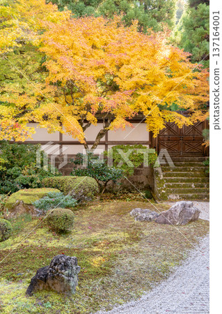 Kyoto Higashiyama Sennyuji Temple (the family temple of the Imperial Family) Imperial Palace Garden Autumn Leaves Dry Landscape Maple Kyoto Higashiyama Sennyuji Temple (the family temple of the Imperial Family) Imperial Palace Garden Autumn Leaves Dry Landscape Maple 137164001
