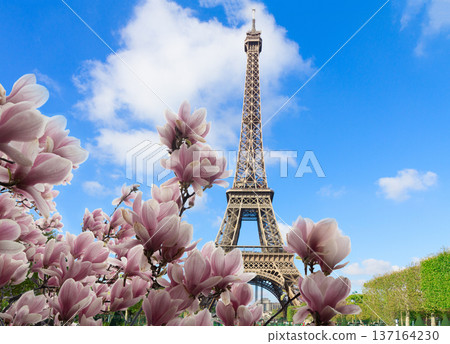 Eiffel tower close up, France 137164230