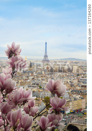 Gargoyle of Notre Dame Cathedral 137164260